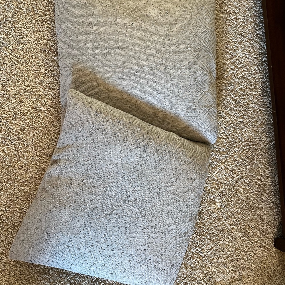 2 Textured Gray Feather Throw Pillows
